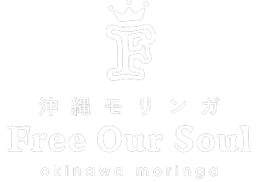 Free Our Soul